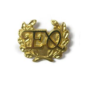 gouden insigne met logo