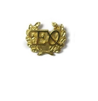 gouden insigne met logo